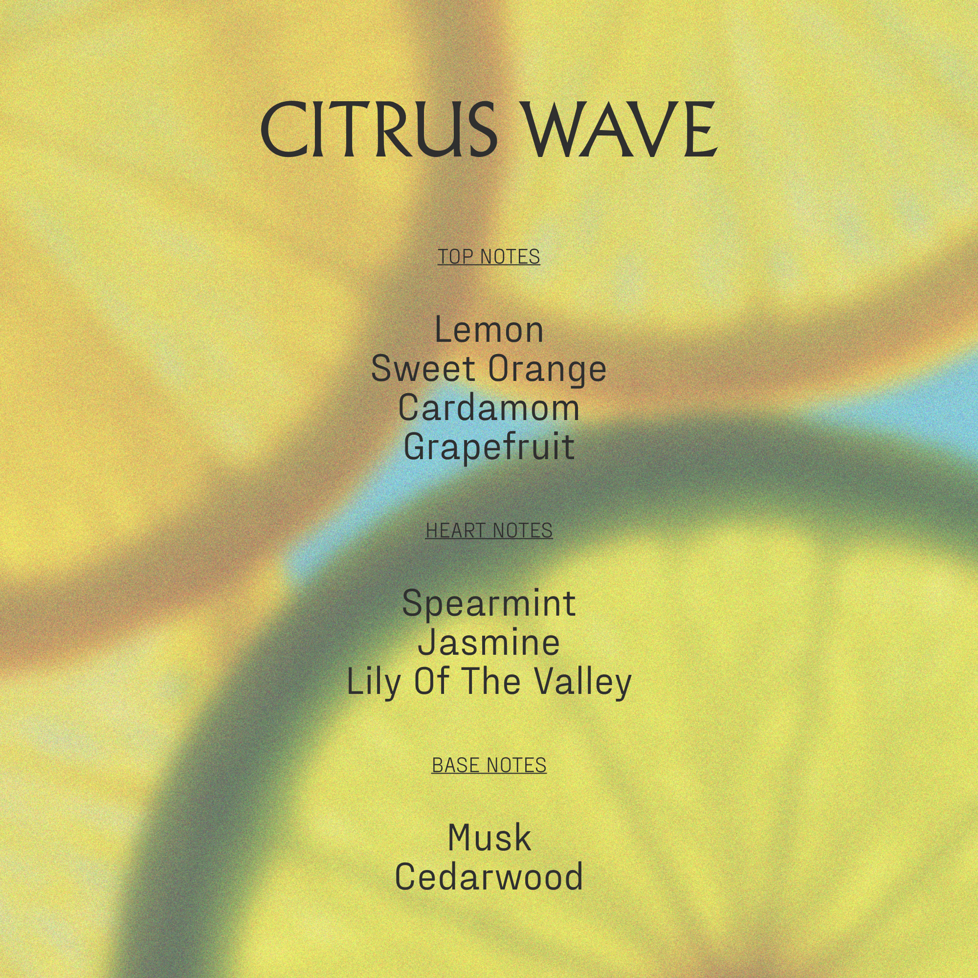 The Bathhouse Ritual | Citrus Wave